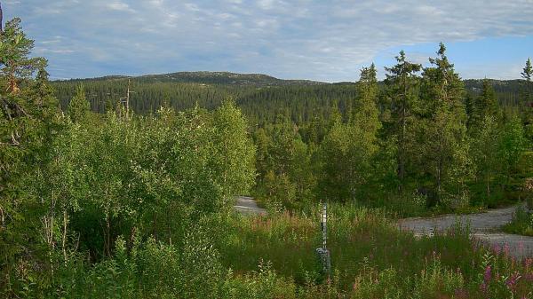 Bilde fra Vikerfjell Syd Flaskerudsetra