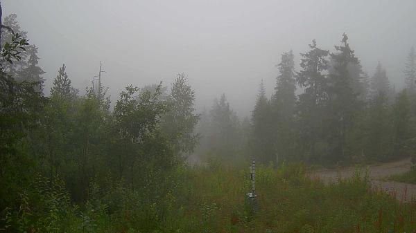 Bilete frå Vikerfjell Syd Flaskerudsetra