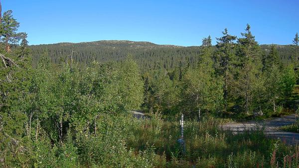 Image from Vikerfjell Syd Flaskerudsetra