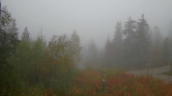 Bilde fra Vikerfjell Syd Flaskerudsetra