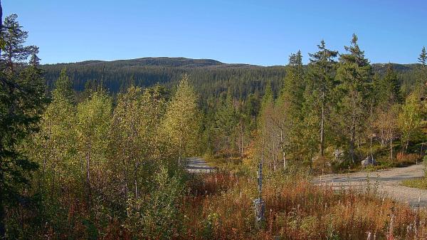 Bilde fra Vikerfjell Syd Flaskerudsetra