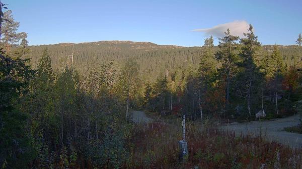 Bilde fra Vikerfjell Syd Flaskerudsetra