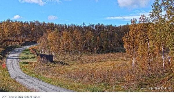 Bilete frå Fauske