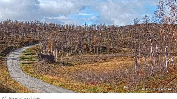 Bilete frå Fauske