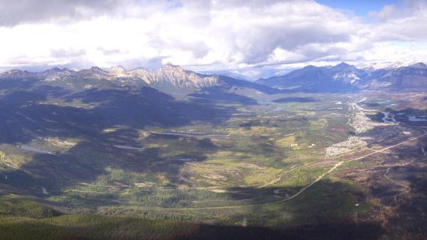 Image from Jasper