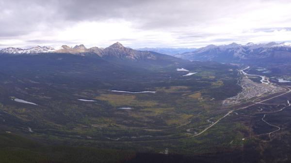 Image from Jasper