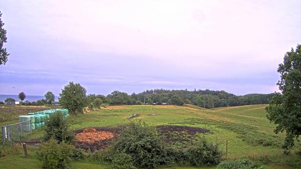 Bilete frå Haderslev