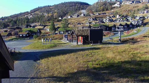 Bilete frå Holtardalen