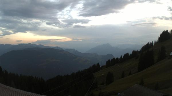 Image from Grusch
