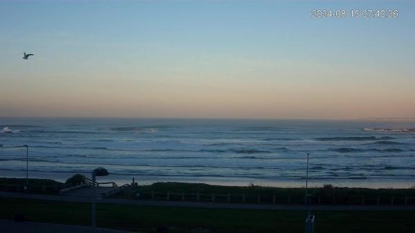 Image from Robben Island Village