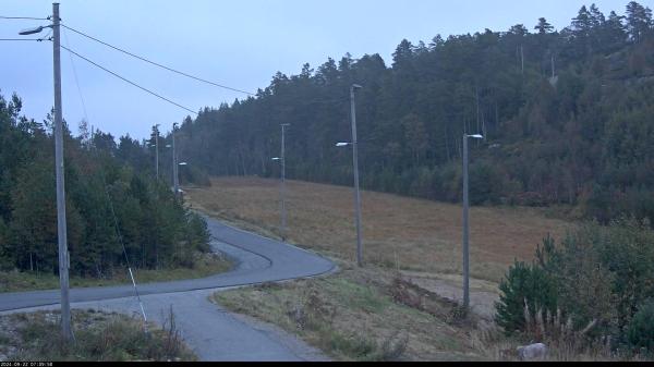 Bilete frå Vennesla