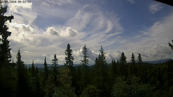 Bilde fra Briskebyen