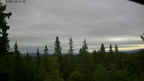 Bilete frå Briskebyen