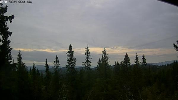 Bilete frå Briskebyen