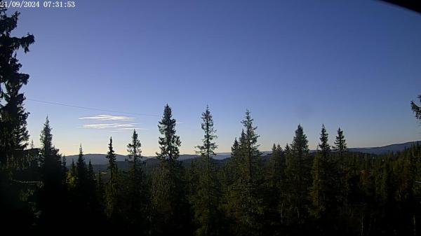 Bilete frå Briskebyen