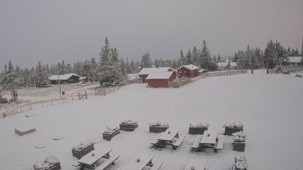 Bilete frå Ljosheim