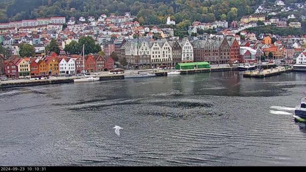 Bilde fra Vågen